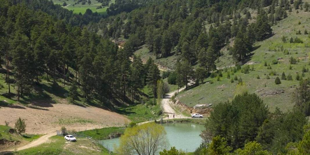 Gören Karadeniz sanıyor ama burası İç Anadolu! 1800 rakımda saklı cennet: Çerçialan göleti göreni büyülüyor! 5